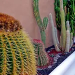 Lagaete Duplex Agaete (Gran Canaria)