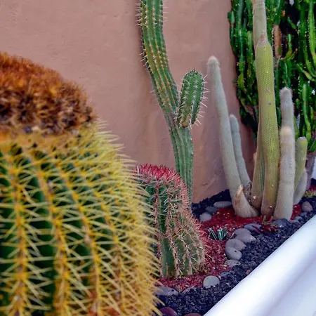 Lagaete Duplex Agaete (Gran Canaria)
