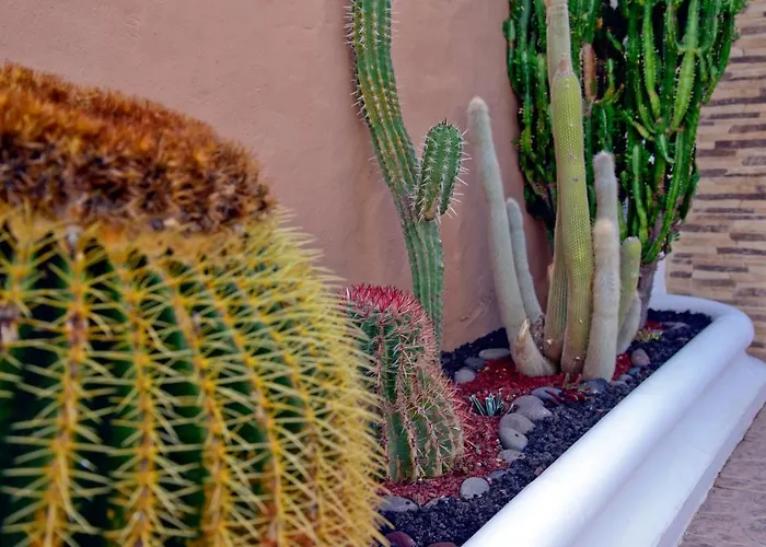 Lagaete Duplex Agaete (Gran Canaria)