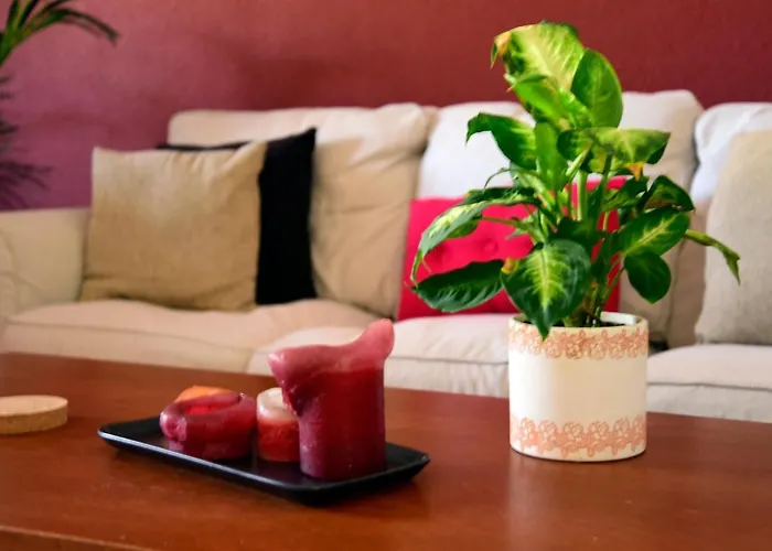 Lagaete Duplex Hébergement de vacances *